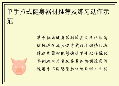 单手拉式健身器材推荐及练习动作示范