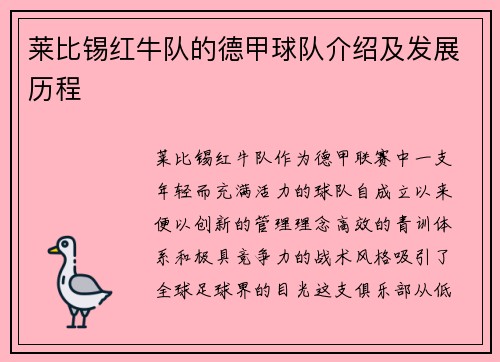 莱比锡红牛队的德甲球队介绍及发展历程